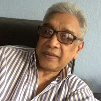 The role of civil society and democratization in Nepal